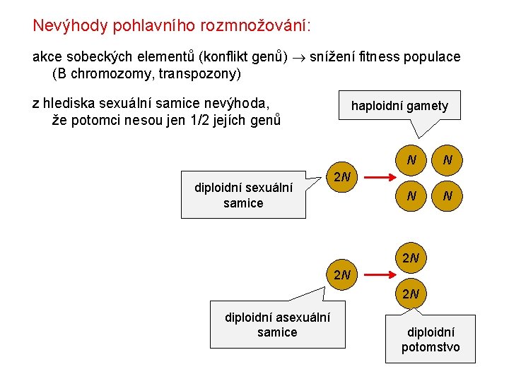 Nevýhody pohlavního rozmnožování: akce sobeckých elementů (konflikt genů) snížení fitness populace (B chromozomy, transpozony)