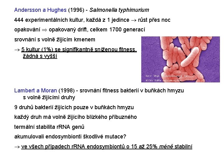 Andersson a Hughes (1996) - Salmonella typhimurium 444 experimentálních kultur, každá z 1 jedince
