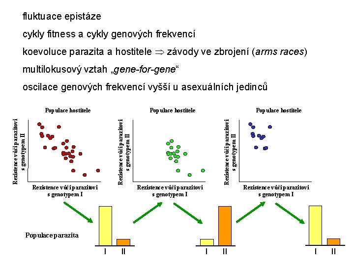 fluktuace epistáze cykly fitness a cykly genových frekvencí koevoluce parazita a hostitele závody ve