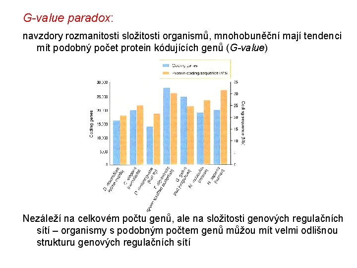 G-value paradox: navzdory rozmanitosti složitosti organismů, mnohobuněční mají tendenci mít podobný počet protein kódujících