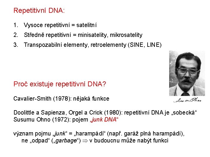 Repetitivní DNA: 1. Vysoce repetitivní = satelitní 2. Středně repetitivní = minisatelity, mikrosatelity 3.