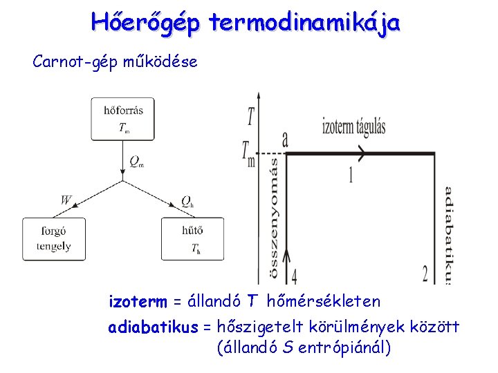 Hőerőgép termodinamikája Carnot-gép működése izoterm = állandó T hőmérsékleten adiabatikus = hőszigetelt körülmények között