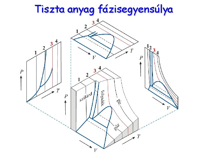 Tiszta anyag fázisegyensúlya 