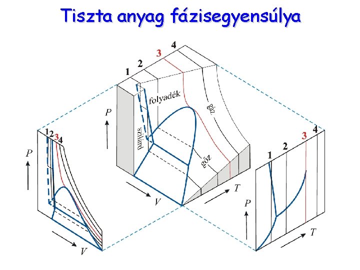 Tiszta anyag fázisegyensúlya 