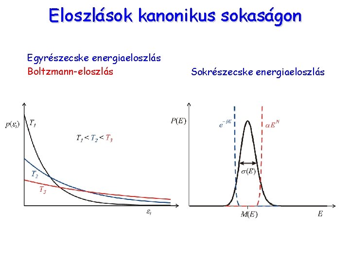 Eloszlások kanonikus sokaságon Egyrészecske energiaeloszlás Boltzmann-eloszlás Sokrészecske energiaeloszlás 