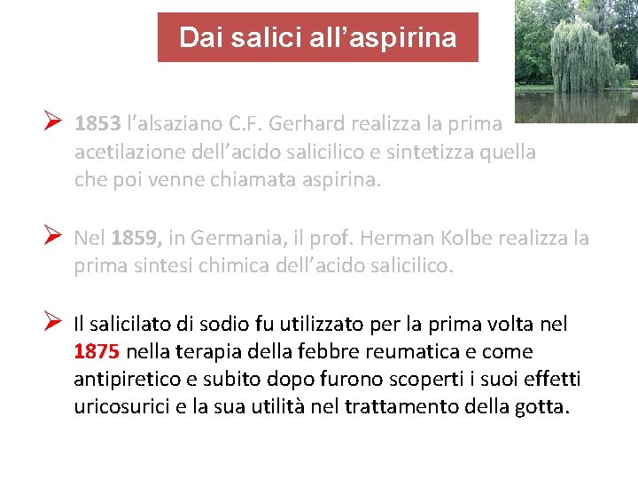 Dai salici all’aspirina Ø 1853 l’alsaziano C. F. Gerhard realizza la prima acetilazione dell’acido