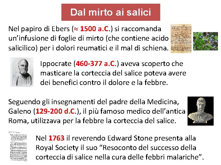 Dal mirto ai salici Nel papiro di Ebers ( 1500 a. C. ) si