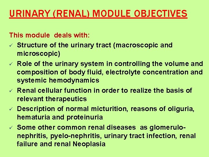 URINARY (RENAL) MODULE OBJECTIVES This module deals with: ü Structure of the urinary tract