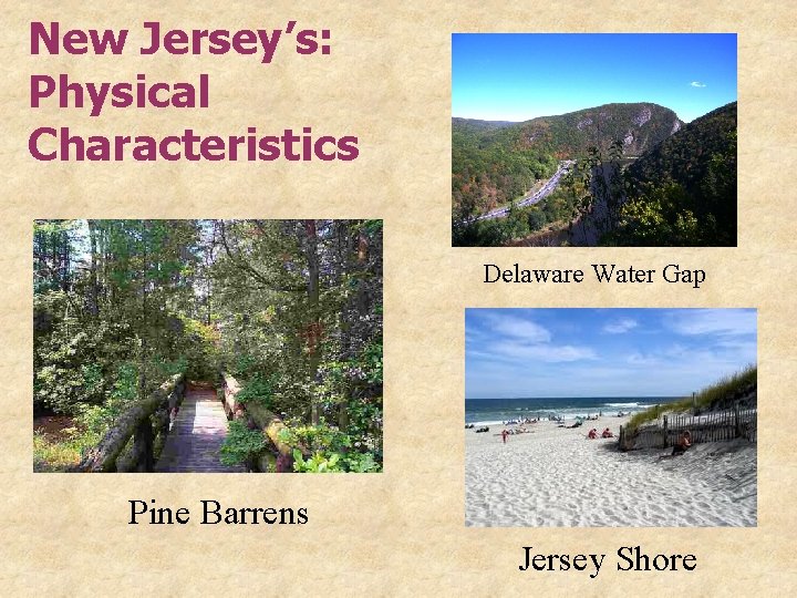 New Jersey’s: Physical Characteristics Delaware Water Gap Pine Barrens Jersey Shore 