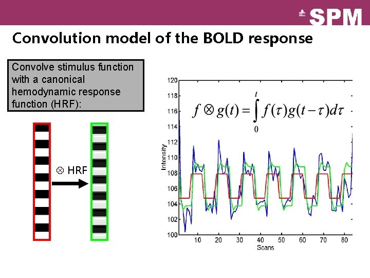 Convolution model of the BOLD response Convolve stimulus function with a canonical hemodynamic response