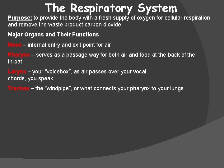 The Respiratory System Purpose: to provide the body with a fresh supply of oxygen