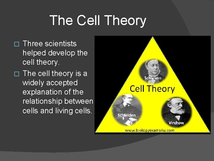 The Cell Theory Three scientists helped develop the cell theory. � The cell theory