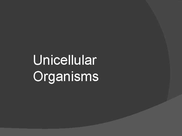 Unicellular Organisms 