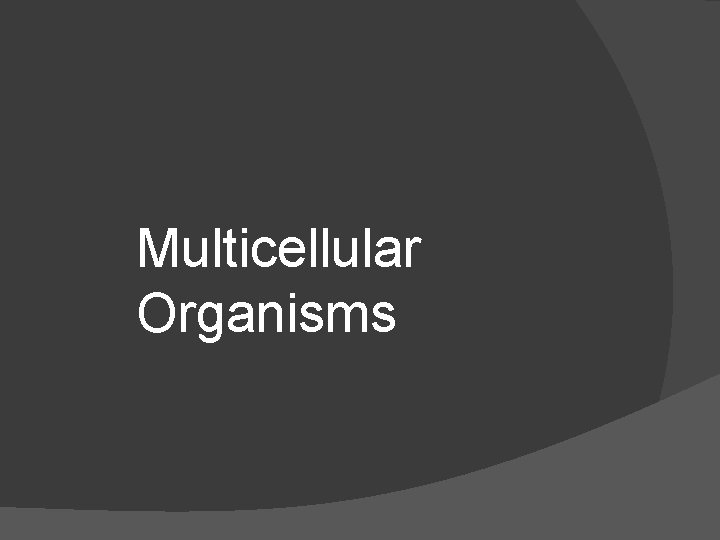 Multicellular Organisms 