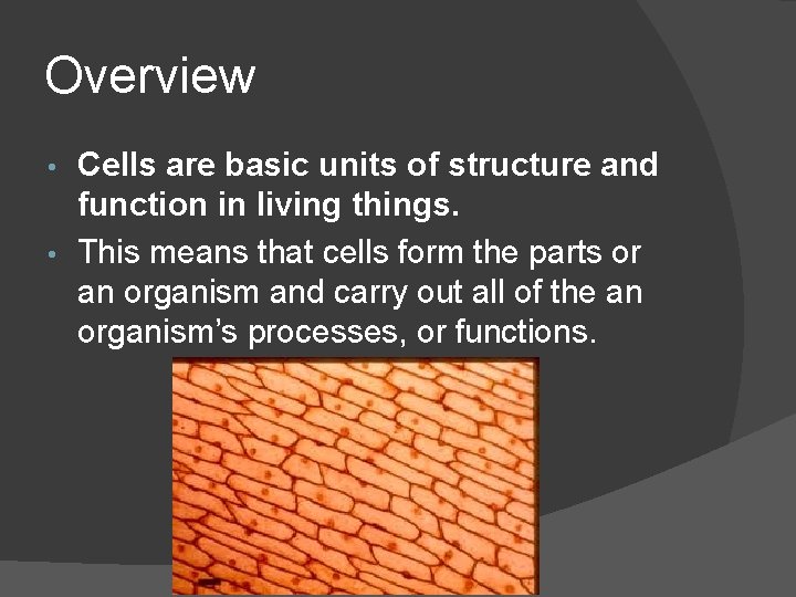 Overview Cells are basic units of structure and function in living things. • This