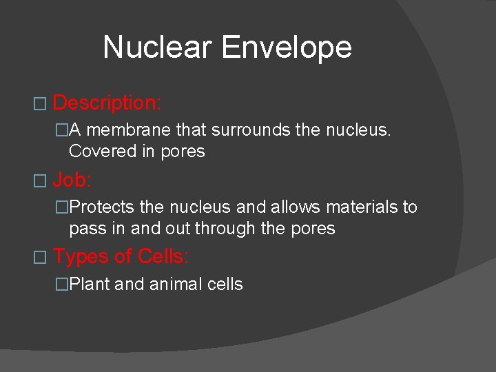 Nuclear Envelope � Description: �A membrane that surrounds the nucleus. Covered in pores �