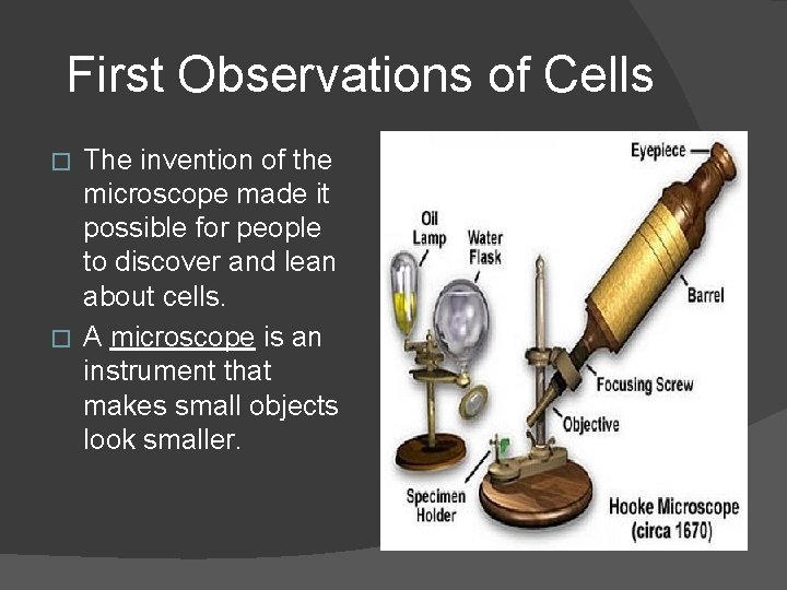 First Observations of Cells The invention of the microscope made it possible for people
