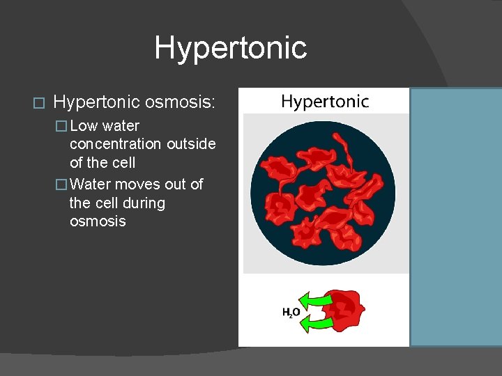 Hypertonic � Hypertonic osmosis: � Low water concentration outside of the cell � Water