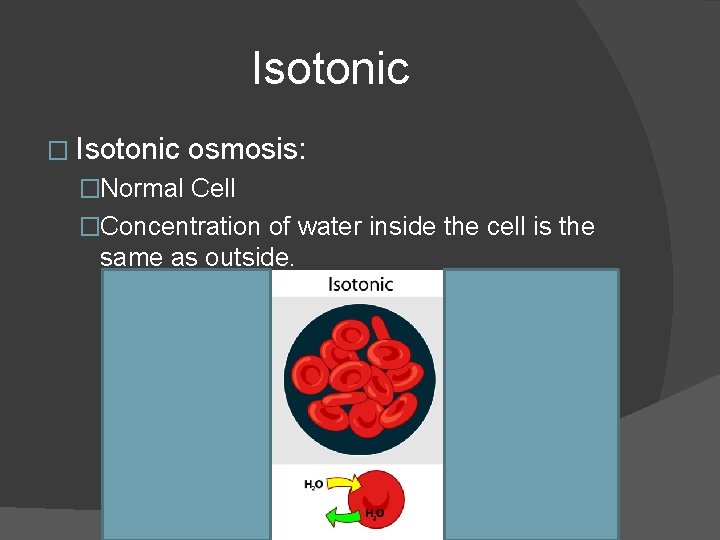 Isotonic � Isotonic osmosis: �Normal Cell �Concentration of water inside the cell is the