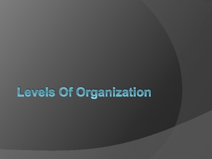 Levels Of Organization 