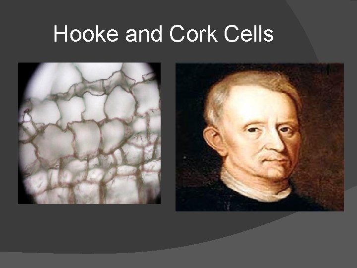 Hooke and Cork Cells 