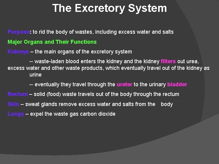 The Excretory System Purpose: to rid the body of wastes, including excess water and