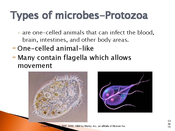 Types of microbes-Protozoa ◦ are one-celled animals that can infect the blood, brain, intestines,