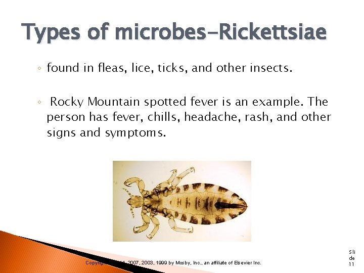 Types of microbes-Rickettsiae ◦ found in fleas, lice, ticks, and other insects. ◦ Rocky