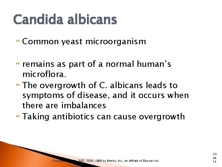 Candida albicans Common yeast microorganism remains as part of a normal human’s microflora. The