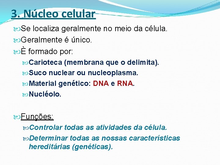 3. Núcleo celular Se localiza geralmente no meio da célula. Geralmente é único. È