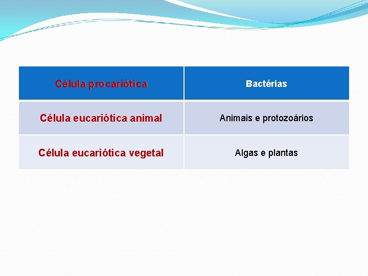 Célula procariótica Bactérias Célula eucariótica animal Animais e protozoários Célula eucariótica vegetal Algas e