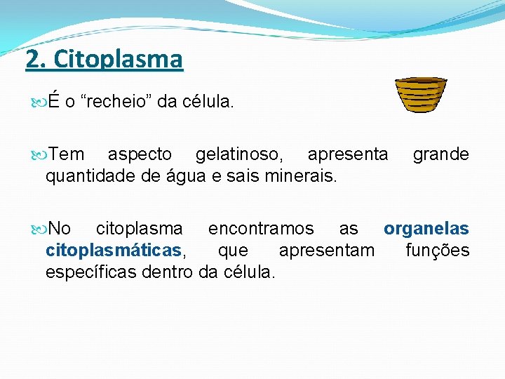 2. Citoplasma É o “recheio” da célula. Tem aspecto gelatinoso, apresenta quantidade de água