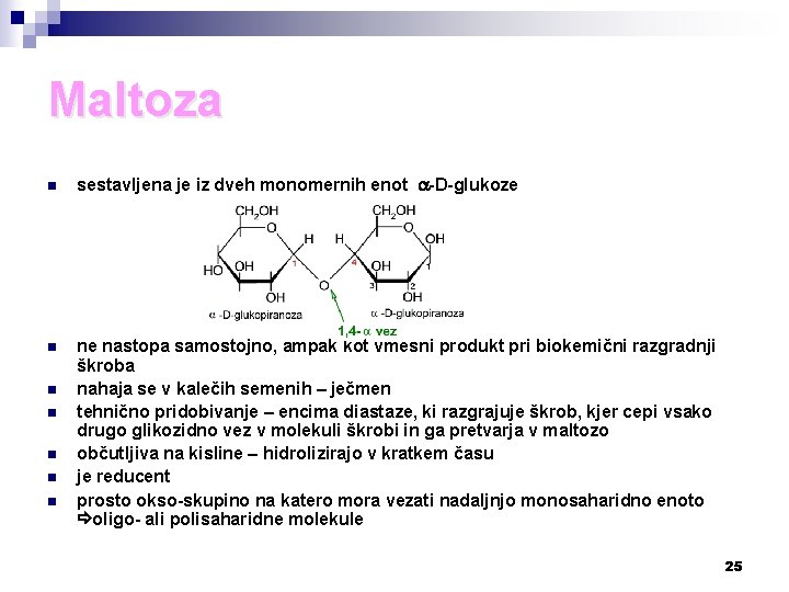 Maltoza n sestavljena je iz dveh monomernih enot -D-glukoze n ne nastopa samostojno, ampak
