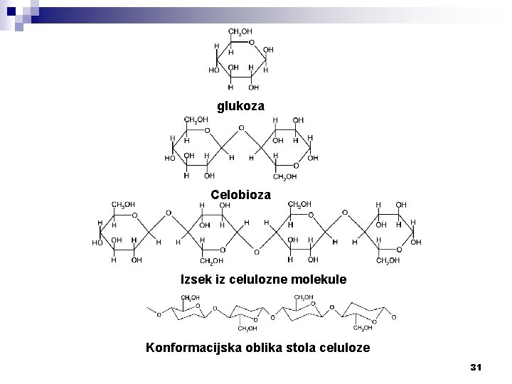 glukoza Celobioza Izsek iz celulozne molekule Konformacijska oblika stola celuloze 31 