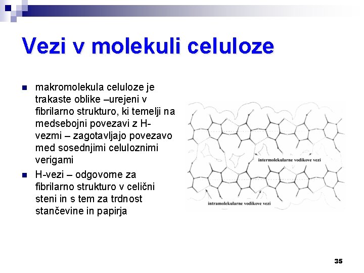 Vezi v molekuli celuloze n n makromolekula celuloze je trakaste oblike –urejeni v fibrilarno