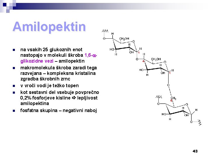 Amilopektin n n na vsakih 25 glukoznih enot nastopajo v molekuli škroba 1, 6