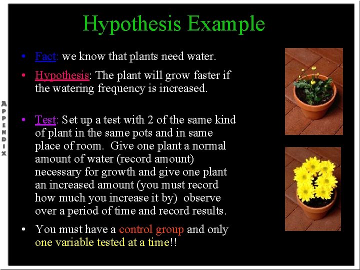 Hypothesis Example • Fact: we know that plants need water. • Hypothesis: The plant