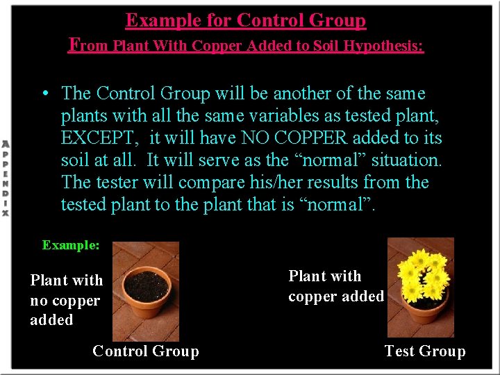 Example for Control Group From Plant With Copper Added to Soil Hypothesis: • The