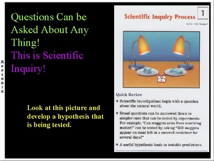 Questions Can be Asked About Any Thing! This is Scientific Inquiry! Look at this