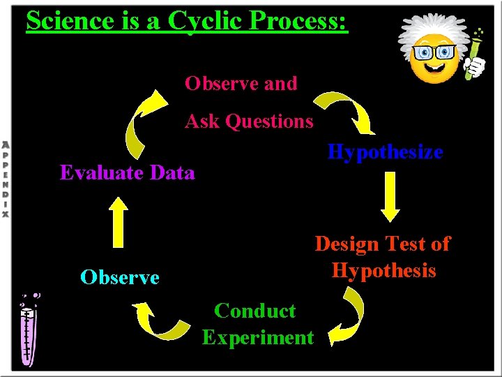 Science is a Cyclic Process: Observe and Ask Questions Hypothesize Evaluate Data Design Test