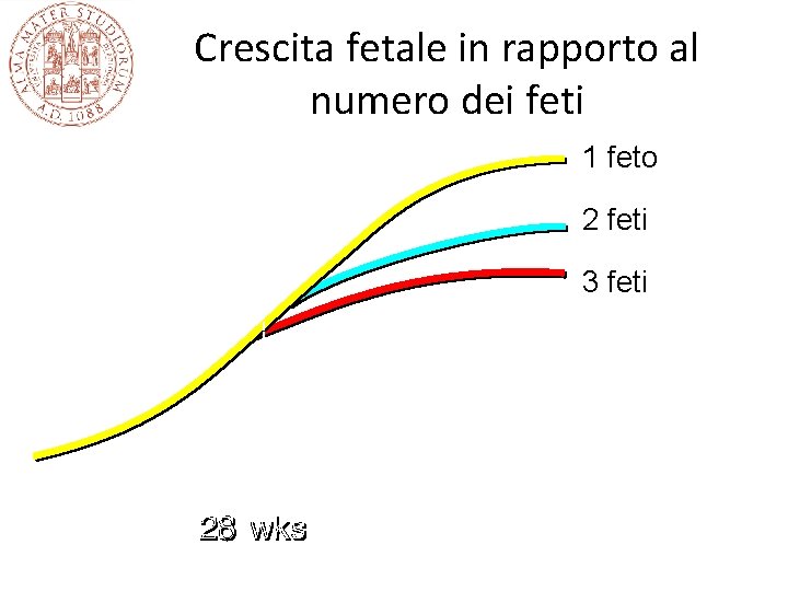 Crescita fetale in rapporto al numero dei feti 1 feto 2 feti 3 feti Crescita fetale in rapporto al numero dei feti 1 feto 2 feti 3 feti
