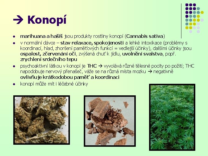 Konopí l l marihuana a hašiš jsou produkty rostliny konopí (Cannabis sativa) v