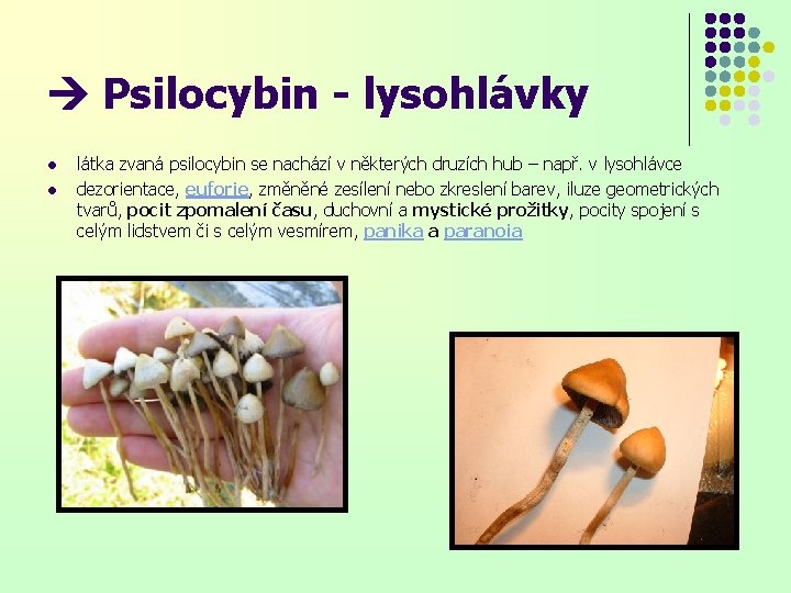 Psilocybin - lysohlávky l l látka zvaná psilocybin se nachází v některých druzích