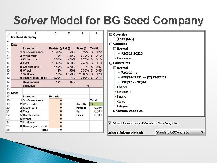 Solver Model for BG Seed Company 