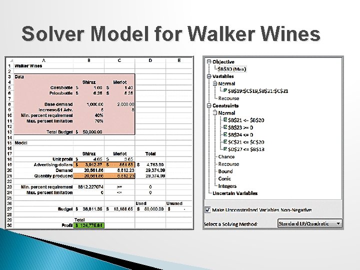 Solver Model for Walker Wines 