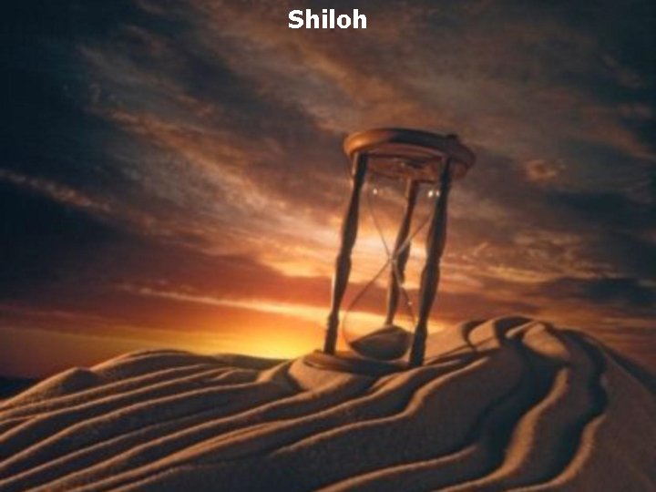 Shiloh 