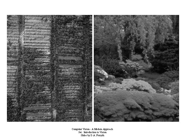 Computer Vision - A Modern Approach Set: Introduction to Vision Slides by D. A.