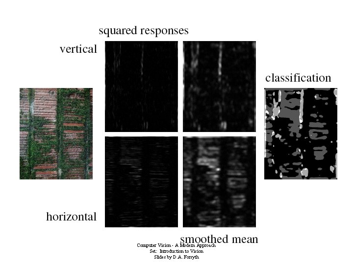 Computer Vision - A Modern Approach Set: Introduction to Vision Slides by D. A.