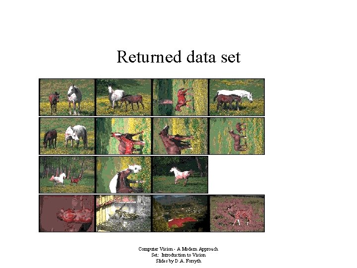 Returned data set Computer Vision - A Modern Approach Set: Introduction to Vision Slides