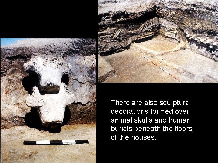 There also sculptural decorations formed over animal skulls and human burials beneath the floors
